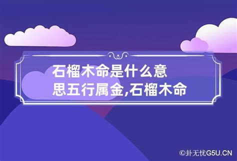 石榴木命是什麼意思|什么是石榴木命